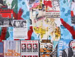 IMG_8651